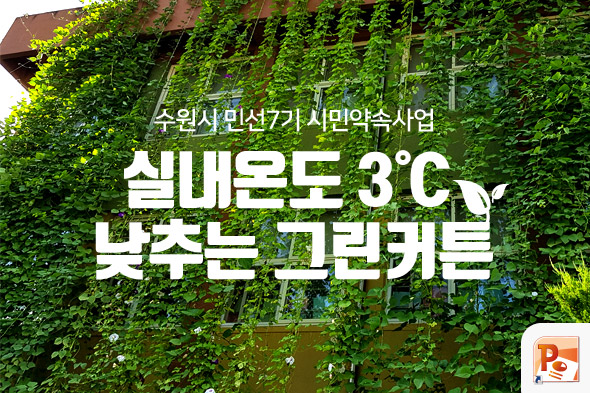 실내온도 3도 낮추는 그린커튼