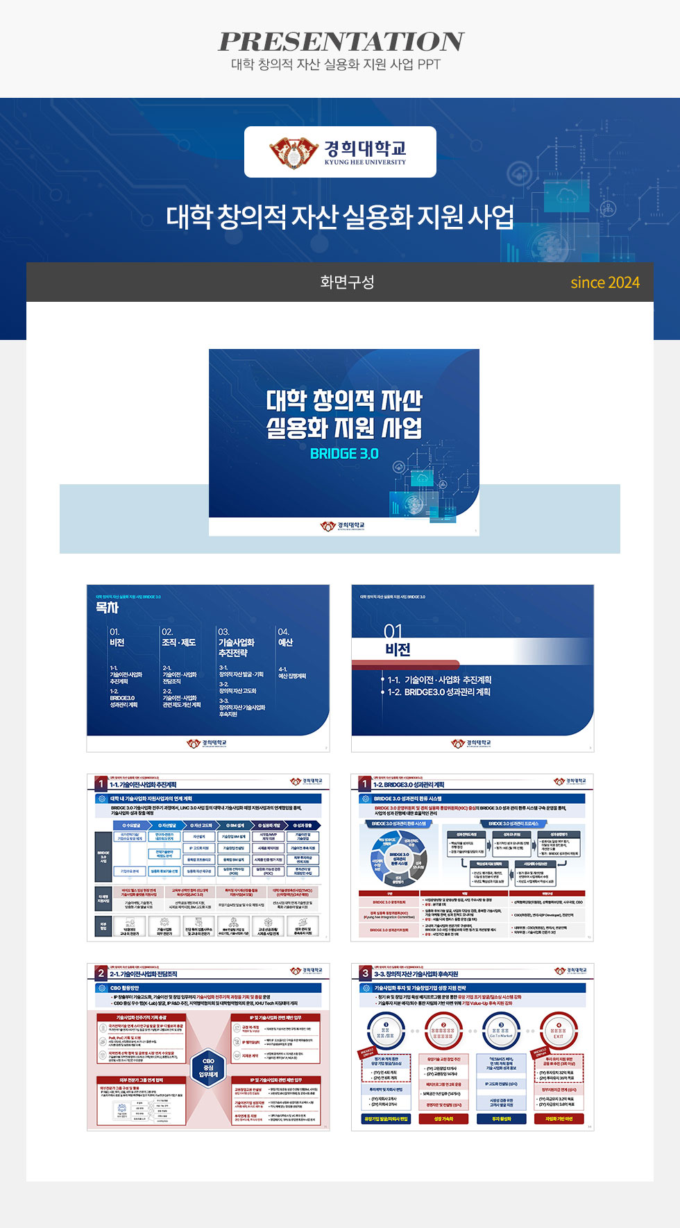 대학 창의적 자산 실용화 지원 사업