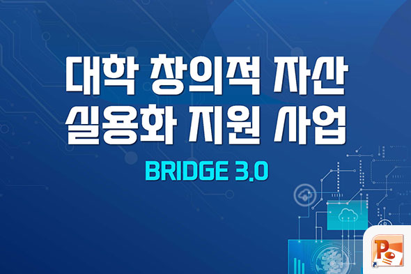 대학 창의적 자산 실용화 지원 사업