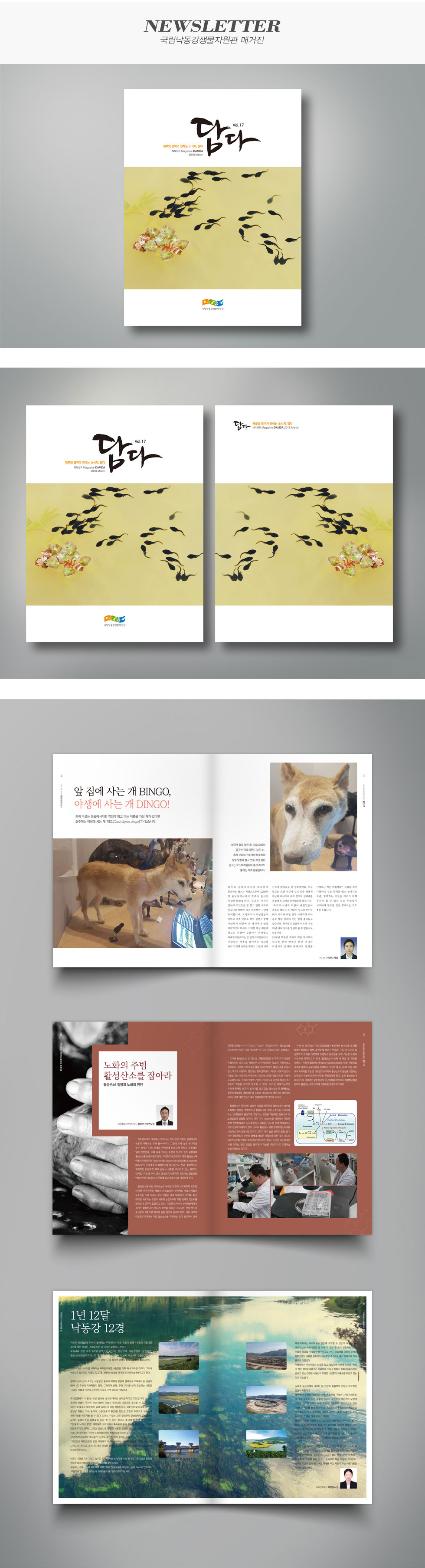 국립낙동강생물자원관 매거진 담다