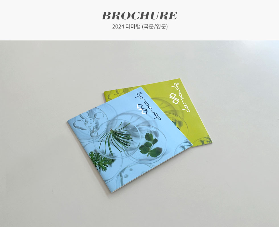 2024 더마랩(국문/영문)